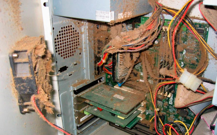 Чистка компьютера от пыли, замена термопасты